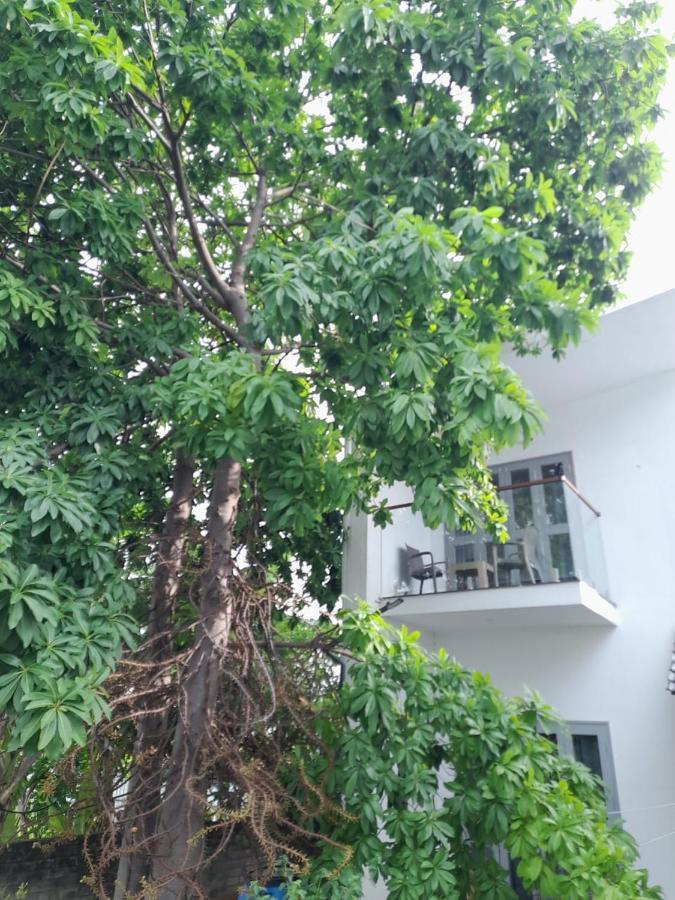 Tamora By Avea Madurai Exterior photo